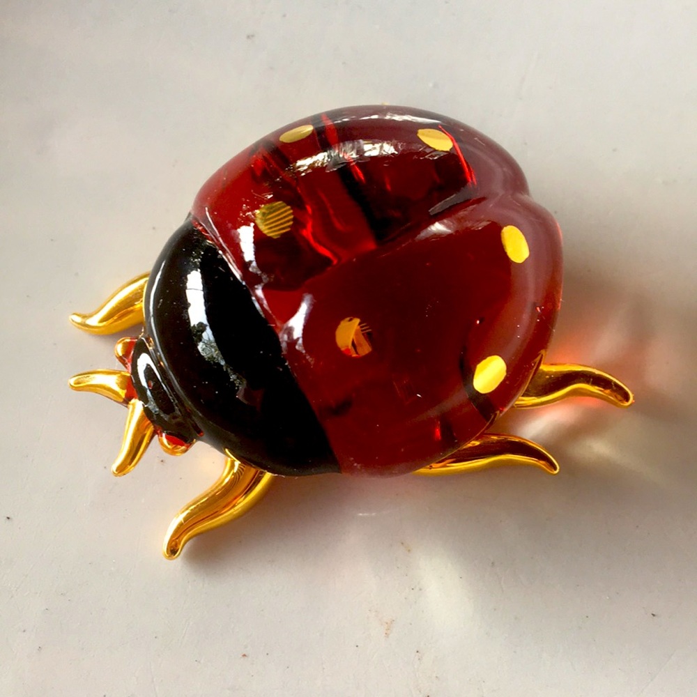 Beautiful Keepsake Ladybug 🐞